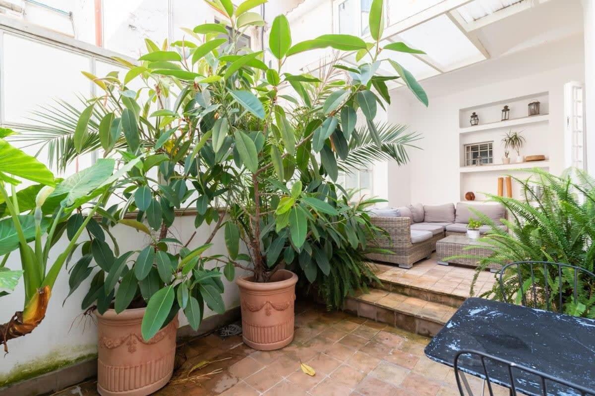 Apartment Trastevere Lovely